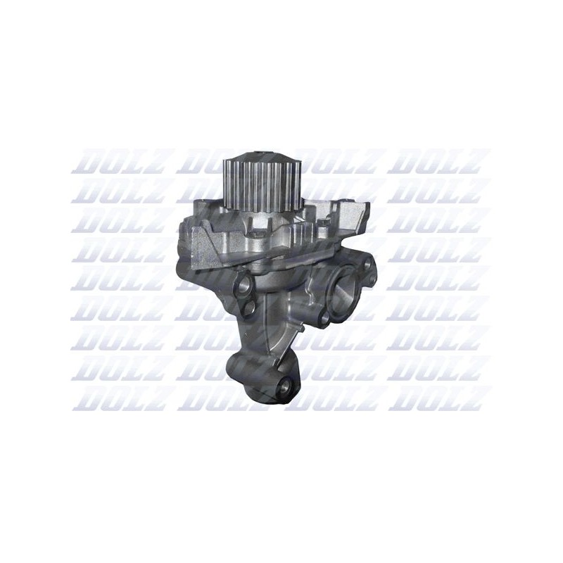 DOLZ C138 Bomba de agua, refrigeración del motor