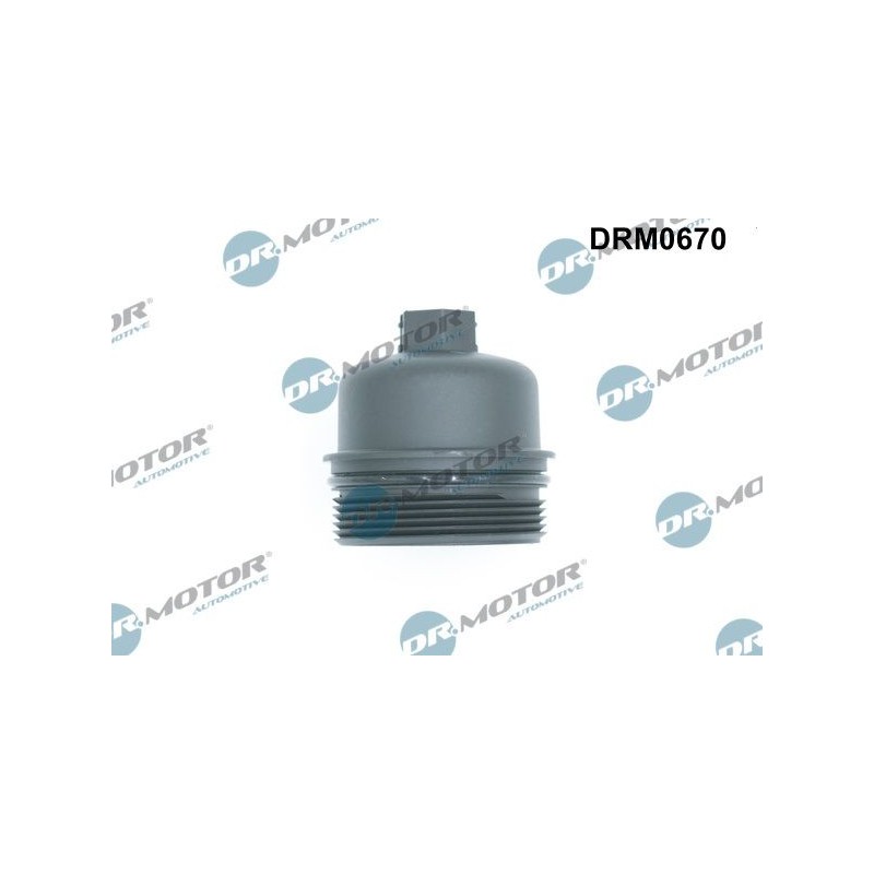 LIZARTE DRM0670 Cubierta, caja filtro de aceite