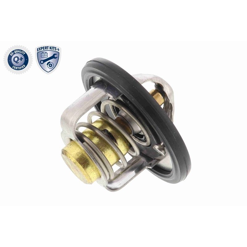 ACKOJA A64-99-0002 Termostato, refrigerante