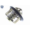 ACKOJA A64-99-0007 Termostato, refrigerante