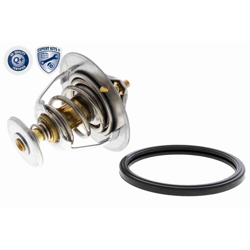 ACKOJA A37-99-0004 Termostato, refrigerante