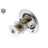 ACKOJA A70-99-0001 Termostato, refrigerante