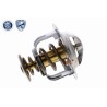 ACKOJA A38-99-0013 Termostato, refrigerante