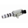 ACKOJA A37-0224 Válvula control, ajuste de levas