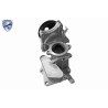 VEMO V40-60-2129 Radiador de aceite, aceite motor