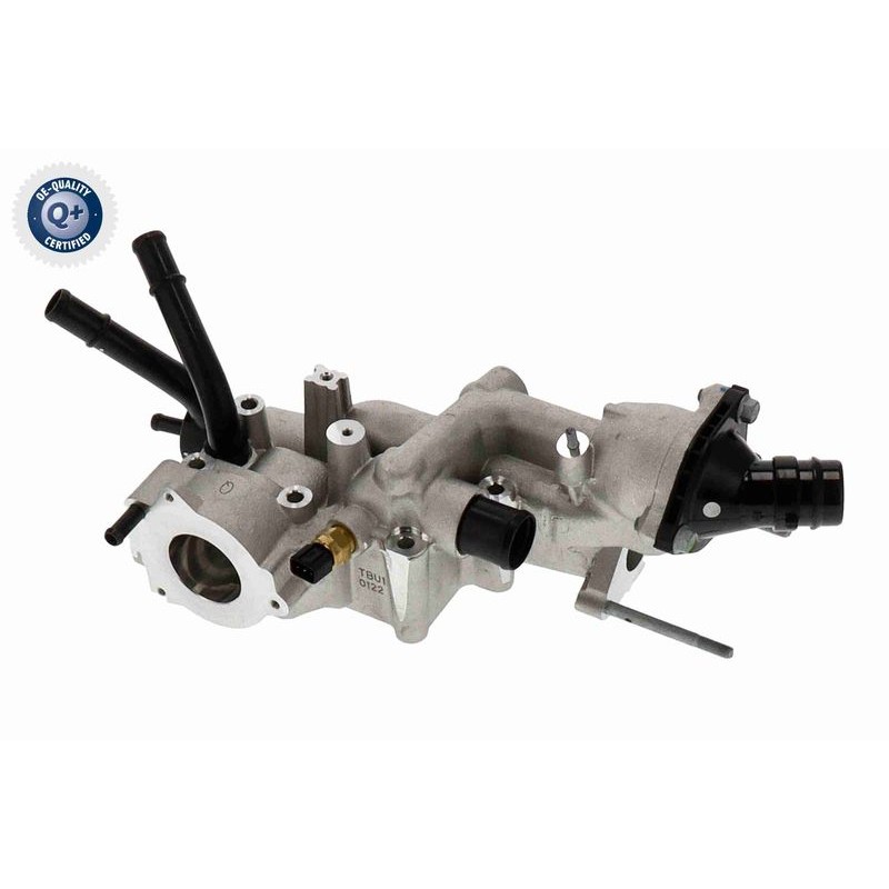 ACKOJA A52-99-0023 Caja del termostato