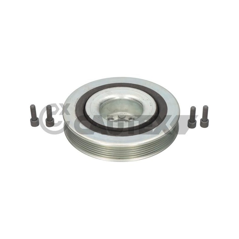 CAUTEX 011441 Kit poleas, cigüeñal