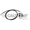 CAUTEX 038407 Cable del acelerador