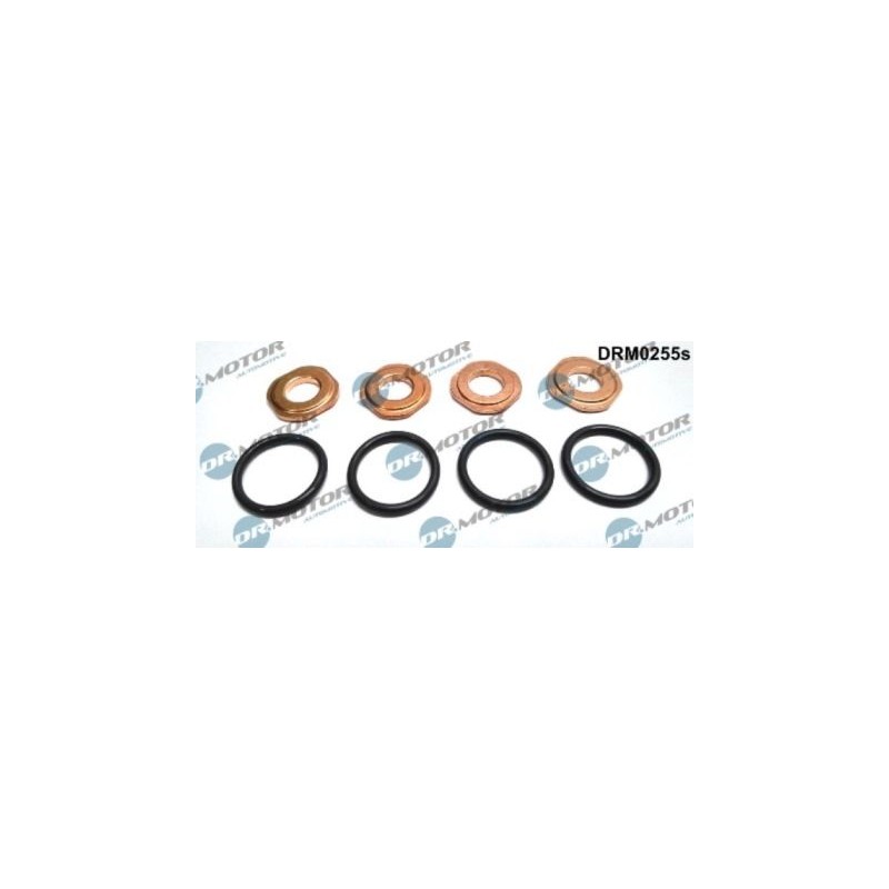 LIZARTE DRM0255S Juego de juntas, inyector