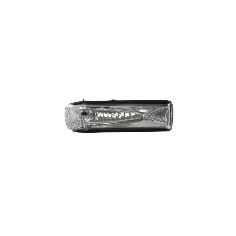 IPARLUX 15233502 Piloto intermitente Espejo retrovisor derecho