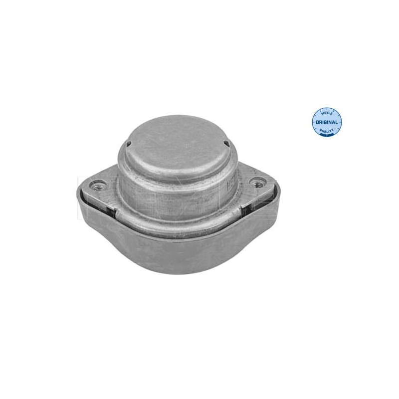 MEYLE 100 130 0011 Suspensión, transmisión automática