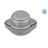 MEYLE 100 130 0011 Suspensión, transmisión automática