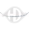 DIEDERICHS 3464145 Listón embellecedor/protector, panal de radiador - 1