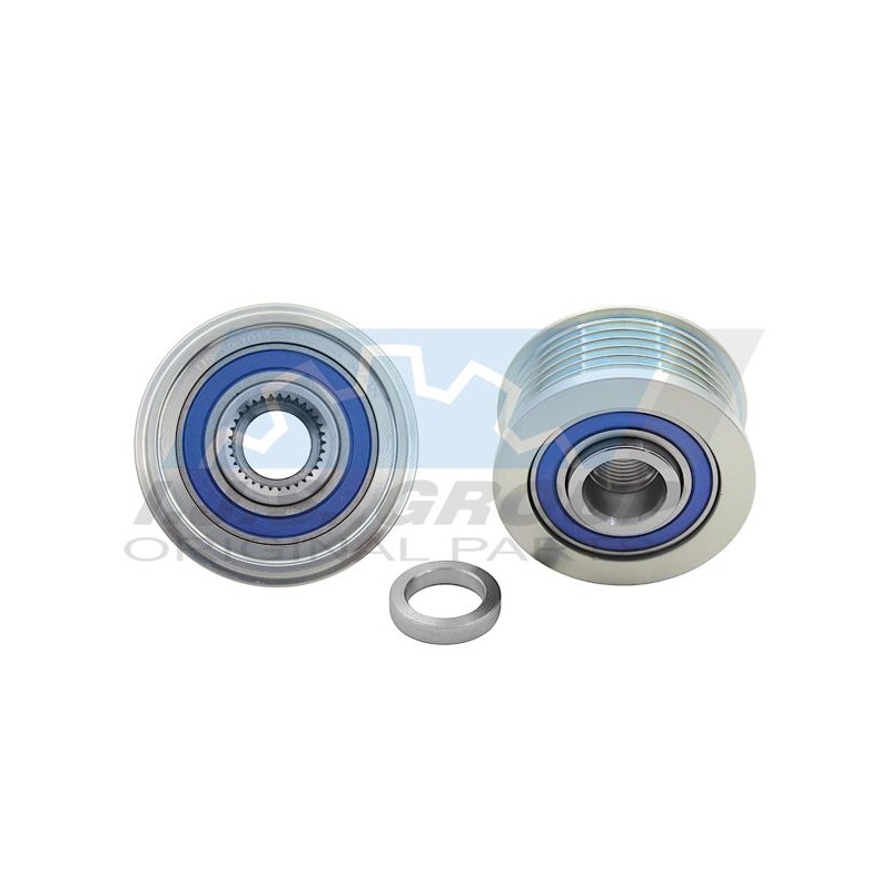 IJS GROUP 30-1013 Rueda libre alternador