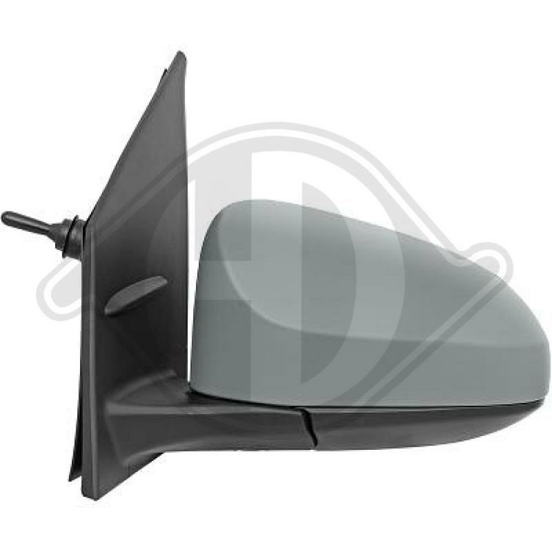 DIEDERICHS 4212125 Retrovisor exterior