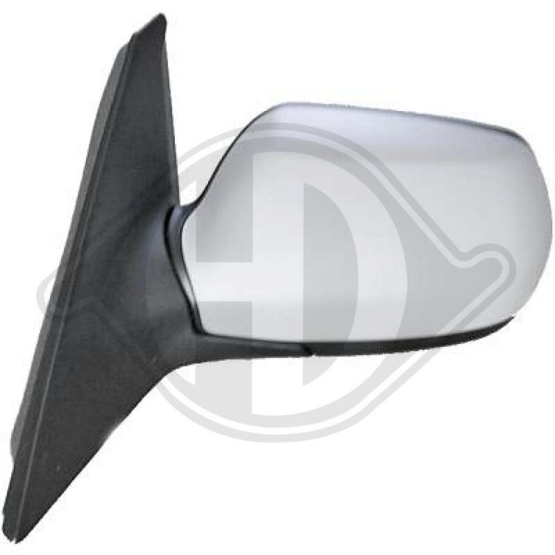DIEDERICHS 5618025 Retrovisor exterior