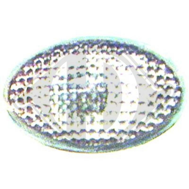 DIEDERICHS 1812077 Piloto intermitente - 1