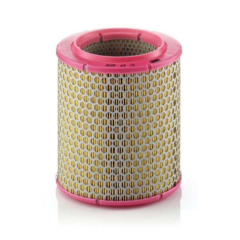 MANN-FILTER C 17 129 Filtro de aire