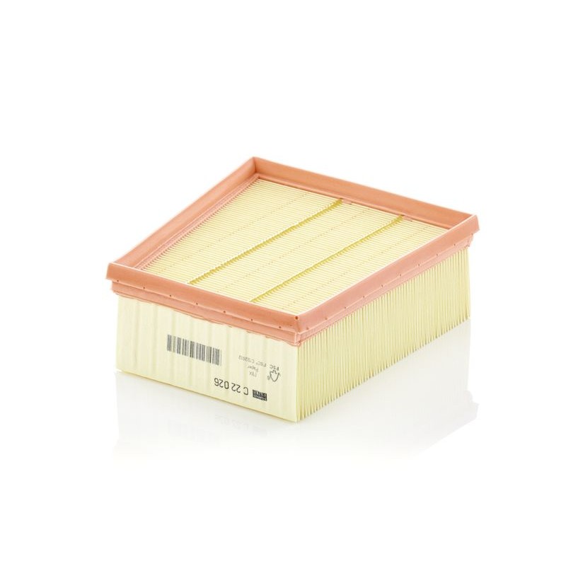MANN-FILTER C 22 026 Filtro de aire