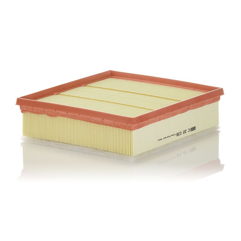 MANN-FILTER C 22 039 Filtro de aire