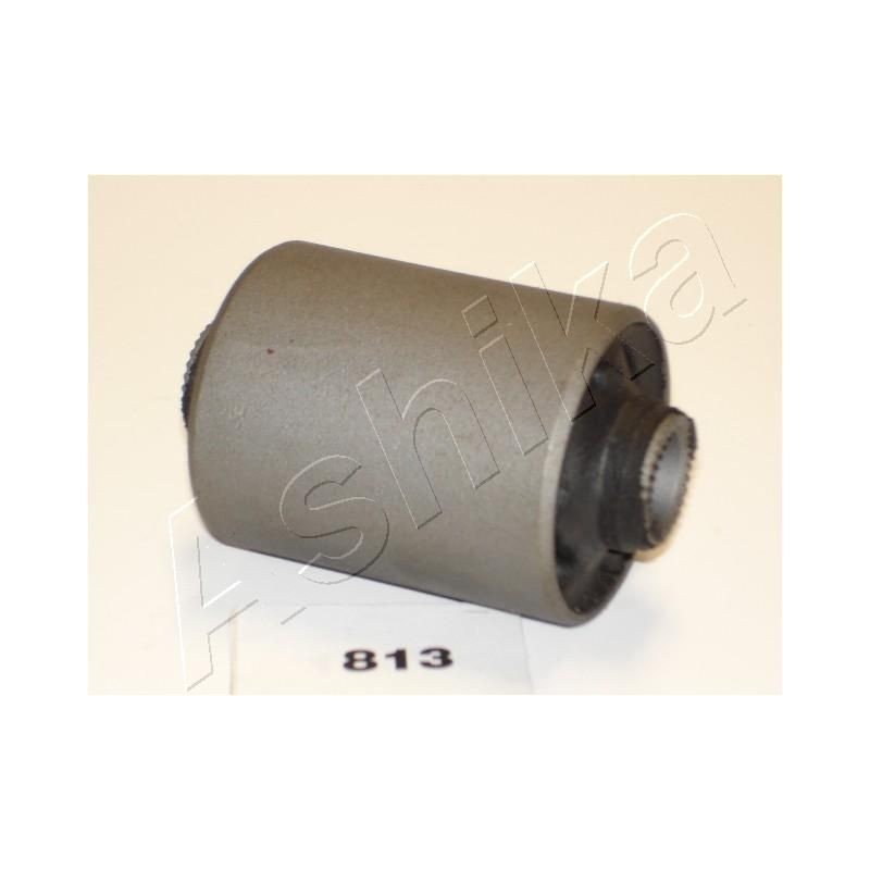 ASHIKA GOM-813 Casquillo del cojinete, ballesta posterior