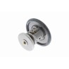 VEMO V25-99-1721 Termostato, refrigerante - 1