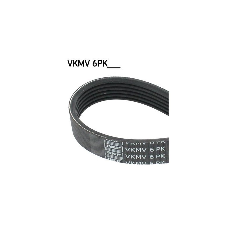 SKF VKMV 6PK1590 Correa trapecial poli V