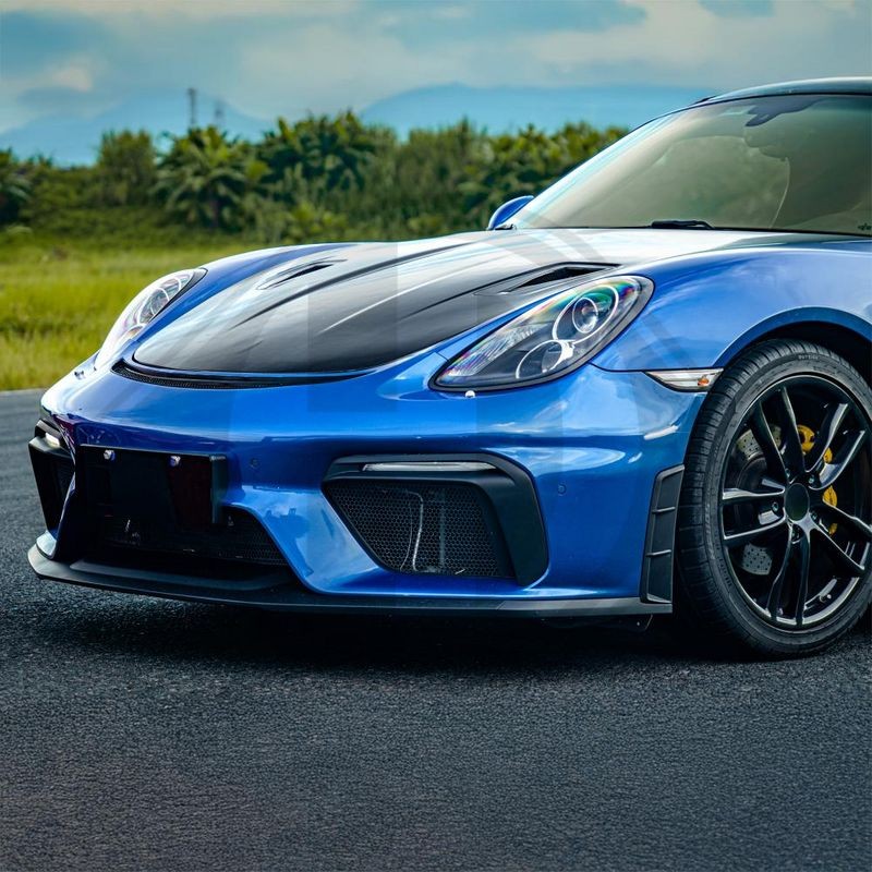 DIEDERICHS 2010252 Parachoques - 2