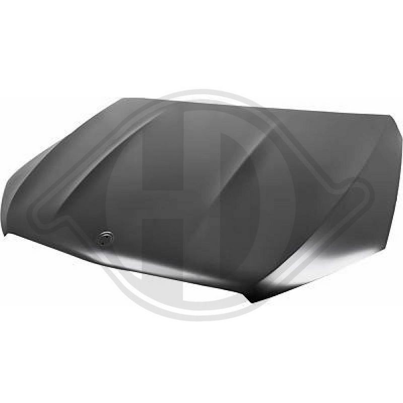 DIEDERICHS 1693100 Capó del motor - 1