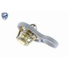 VEMO V20-99-1280 Termostato, refrigerante - 1