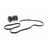 VEMO V15-99-2120 Termostato, refrigerante - 1