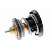 VEMO V15-99-2101 Termostato, refrigerante - 1