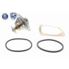 VEMO V20-99-1256 Termostato, refrigerante - 1