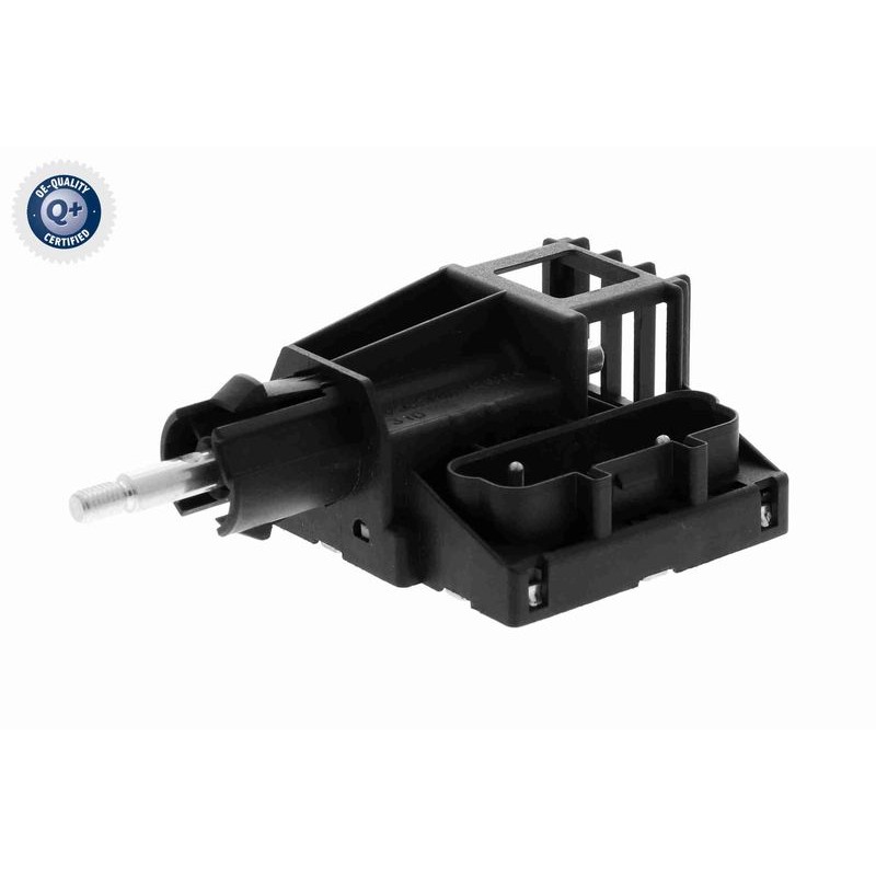 VEMO V20-73-0021 Interruptor, luz antiniebla