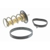 VEMO V25-99-1753 Termostato, refrigerante - 1