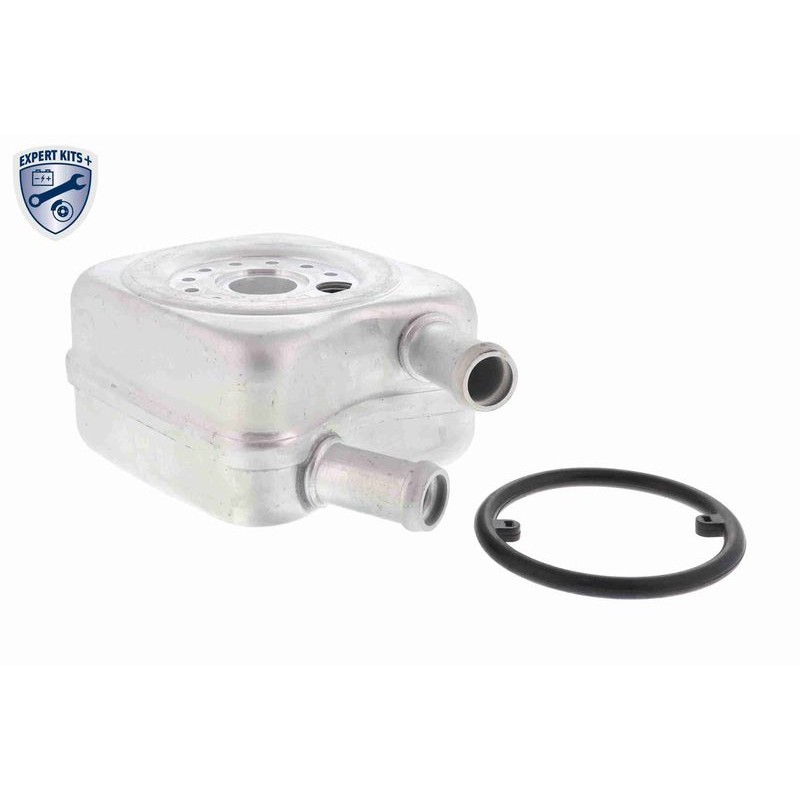 VEMO V15-60-6010 Radiador de aceite, aceite motor