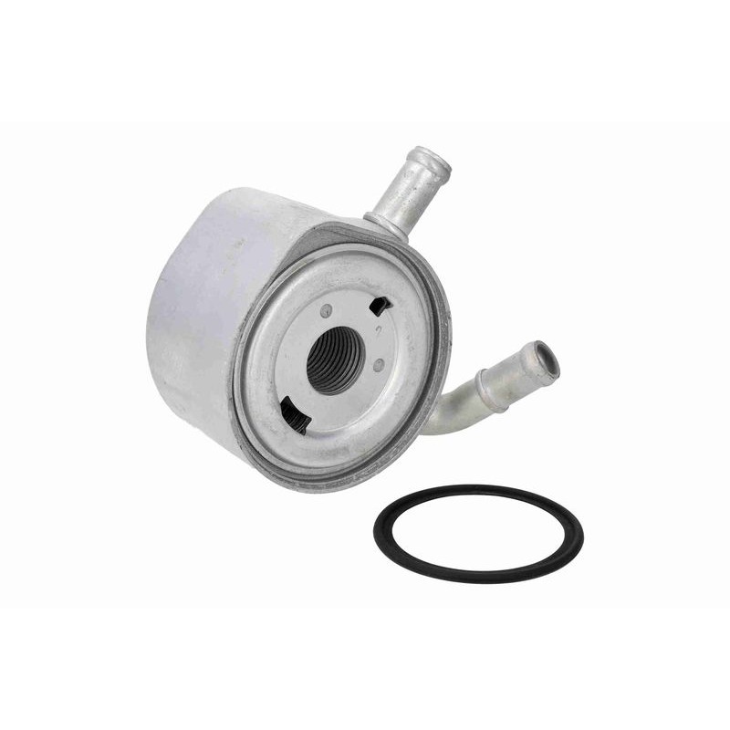VEMO V46-60-0001 Radiador de aceite, aceite motor - 1