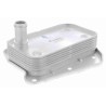 VEMO V30-60-1273 Radiador de aceite, aceite motor - 1