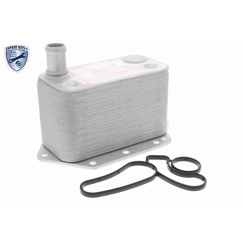VEMO V20-60-0042 Radiador de aceite, aceite motor - 1