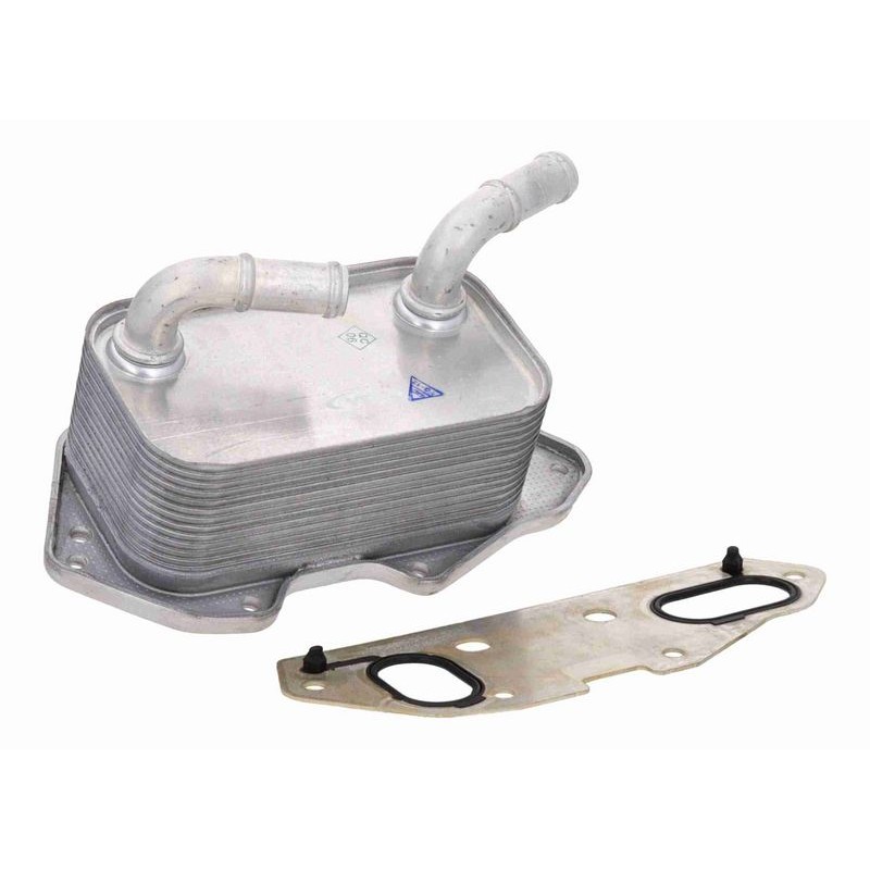 VEMO V15-60-6019 Radiador de aceite, aceite motor - 1