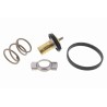 VEMO V24-99-1272 Termostato, refrigerante - 1
