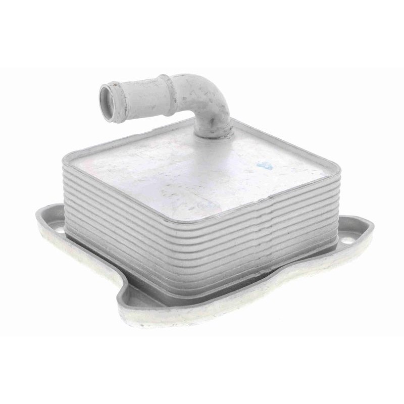 VEMO V15-60-6062 Radiador de aceite, aceite motor - 1