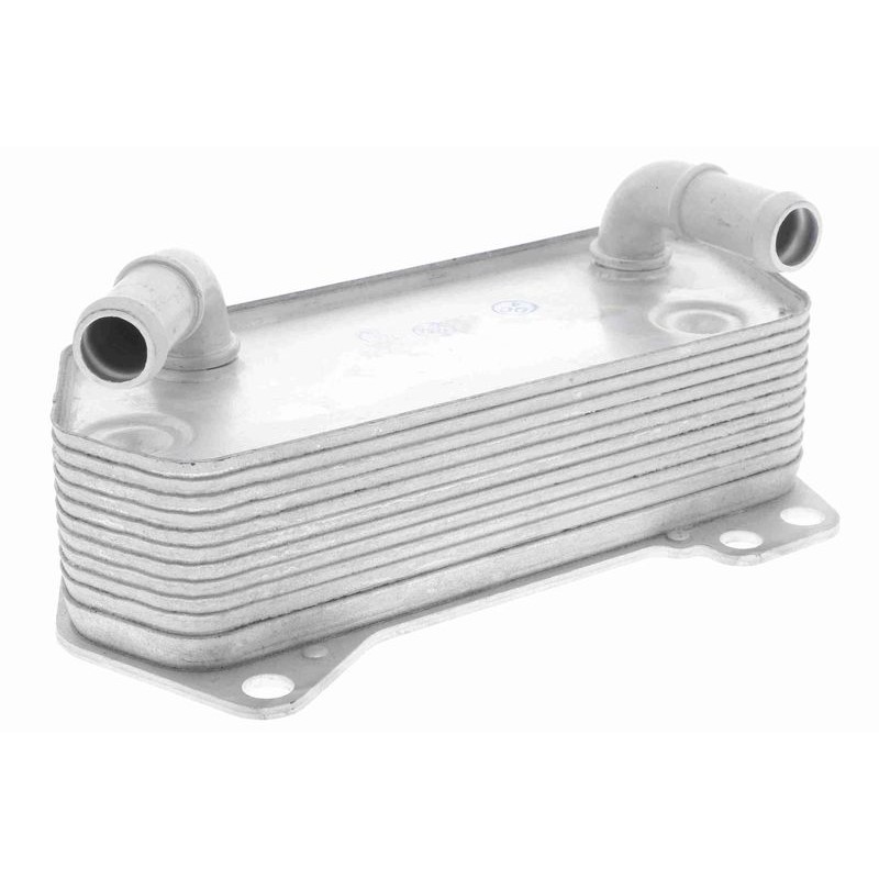 VEMO V10-60-0008 Radiador de aceite, aceite motor - 1