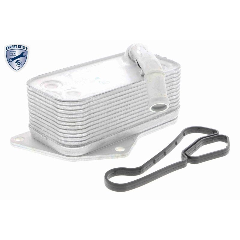 VEMO V20-60-0045 Radiador de aceite, aceite motor - 1