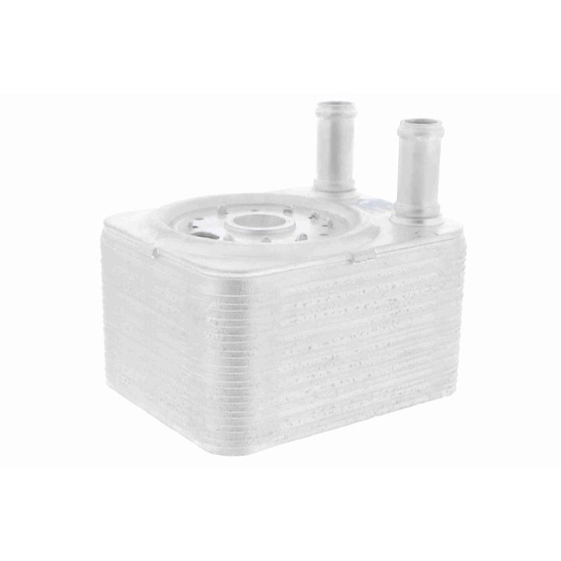 VEMO V15-60-6023 Radiador de aceite, aceite motor - 1