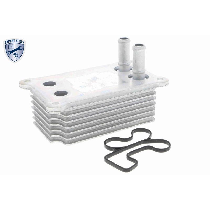 VEMO V25-60-0031 Radiador de aceite, aceite motor - 1