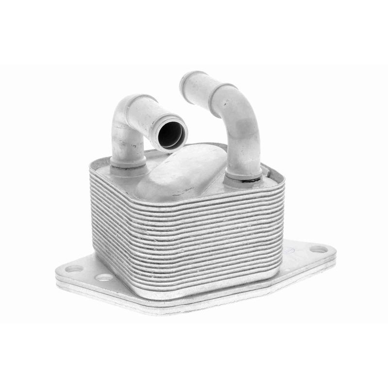 VEMO V15-60-6072 Radiador de aceite, aceite motor - 1