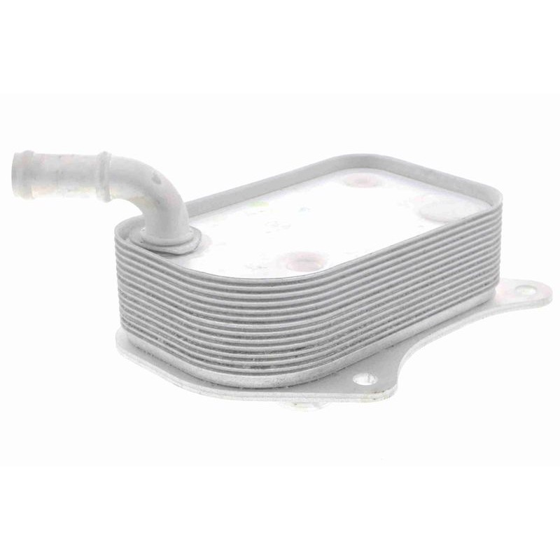 VEMO V15-60-6071 Radiador de aceite, aceite motor - 1