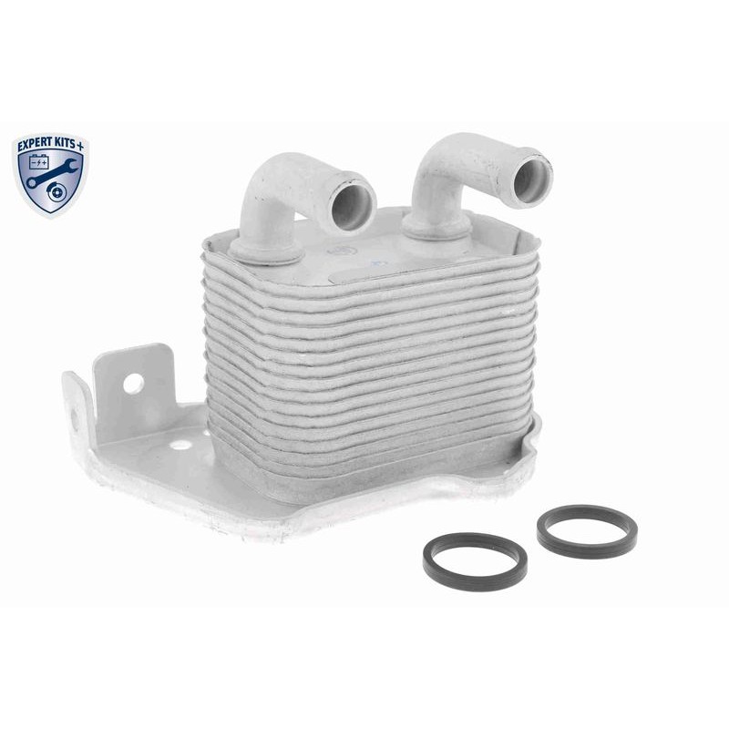 VEMO V40-60-2105 Radiador de aceite, aceite motor - 1