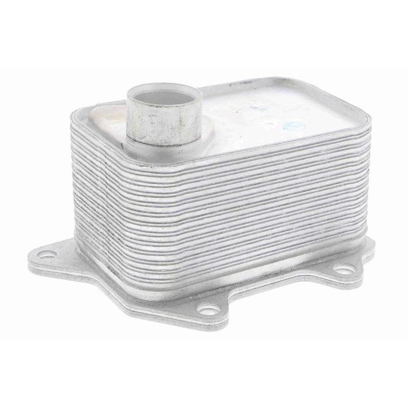 VEMO V15-60-6068 Radiador de aceite, aceite motor - 1